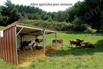 abri agricole pour animaux